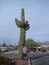Tucson, House Hunting Trip (Austin, TX) Thumbnail