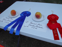 2002 Stonewall Peach Jamboree (Stonewall, Texas) Thumbnail