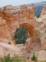 Bryce Canyon, Panguitch, Tacuban, Lee's Ferry Thumbnail