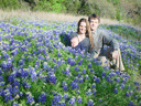 Texas Bluebonnets 2003 Thumbnail