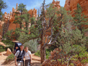 Summer 2003 - Bryce Canyon Thumbnail