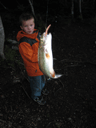 2010 Thumbnail #3